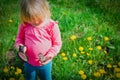 Little girl looking at butterfy, kids learning nature Royalty Free Stock Photo