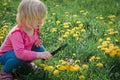 Little girl looking at butterfy, kids learning nature Royalty Free Stock Photo