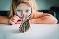 Little girl looking at butterfy through magnifying glass Royalty Free Stock Photo