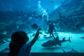 Little girl looking at a diver feeds fish