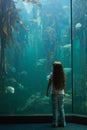 Little girl looking at fish tank Royalty Free Stock Photo