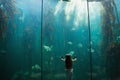 Little girl looking at fish tank Royalty Free Stock Photo