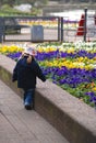 Little girl looking at flowers Royalty Free Stock Photo