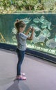 Little girl looks at the aquarium and takes pictures of big fish