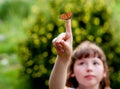 Little girl looks at a butterfly. Aglais urticae L. Royalty Free Stock Photo