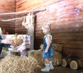 Little girl looks at ducklings, a rustic style house for Easter