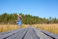 Little girl looks for in grass standing near wooden planks of pathway passing through the swampland, copy space