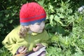 Little girl looks at ladybug on green leaf in sunny day Royalty Free Stock Photo