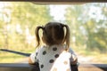 A little girl looks out the back window of a car while driving through the forest. The child stands near the rear window Royalty Free Stock Photo