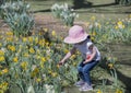 Little girl in garden of yellow and white tulips in spring