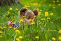 Little girl lying in grass Royalty Free Stock Photo