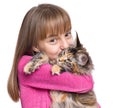 Little girl with Maine Coon kitten Royalty Free Stock Photo