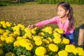 The little girl with Marigold Farm in morning Royalty Free Stock Photo