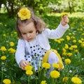 Little girl meadow gather yellow dandelion Royalty Free Stock Photo