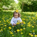Little girl meadow gather yellow dandelion Royalty Free Stock Photo