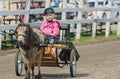 Little Girl in Miniature Horse Cart at Country Fair