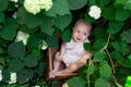 Little girl 10 months old sitting in flowers in summer in a beautiful dress, top view, artistic photo of a child in the grass Royalty Free Stock Photo