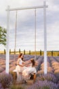 A little girl and mother with long flowing hair are sitting on a rope swing in a lavender field in puffy tulle dresses