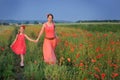 Little girl with mother walking on the poppy field Royalty Free Stock Photo