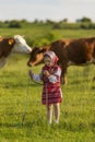 little girl grazing cows on the lawn Royalty Free Stock Photo