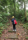 Little girl on nature trekking hike in forest