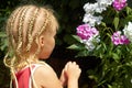 Little girl near the Hesperis plant