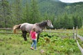 Little girl next to a horse Royalty Free Stock Photo