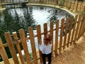 Little girl observing the ducks in a lake in a park Royalty Free Stock Photo