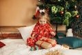 A little girl opens a Christmas present near the Christmas tree. Christmas time, gifts, festive mood. The concept of Royalty Free Stock Photo