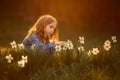 Little girl outdoor portrait near narcissus  flowers at sunset Royalty Free Stock Photo