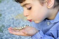 Little girl palying with silkworm in hands Royalty Free Stock Photo