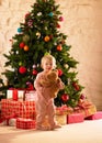 Little girl with parcels round Christmas tree