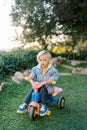 Little girl pedaling a tricycle on green grass in the park Royalty Free Stock Photo