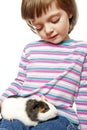 Little girl with pet guinea pig Royalty Free Stock Photo