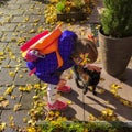 Little girl and pet kitten meet together.