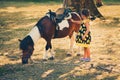Little girl pet pony horse outdoor in park Royalty Free Stock Photo