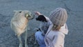 a little girl pets stray dogs. fostering children's love for animals