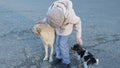 a little girl pets stray dogs. fostering children's love for animals