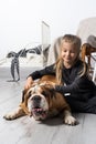 The girl is sitting on the floor next to the English Bulldog`s belt and is gently stroking it with her hand. Man and dog Royalty Free Stock Photo