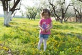 Little girl pick up dandelion on the lawn Royalty Free Stock Photo