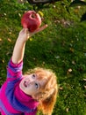 little girl picked ripe apples