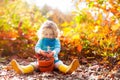 Little girl picking acorns in autumn park Royalty Free Stock Photo