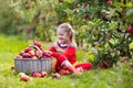 Little girl picking apple in fruit garden Royalty Free Stock Photo