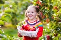 Little girl picking apple in fruit garden Royalty Free Stock Photo