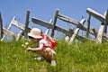 Little girl picking flowers Royalty Free Stock Photo