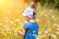 Little girl picking flowers on the meadow Royalty Free Stock Photo