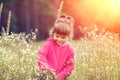 Little girl picking flowers in the meadow Royalty Free Stock Photo