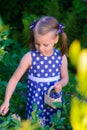 Little girl picking fresh berries on blueberry field - on organic farm. Cute gardener girl playing outdoors in fruit orchard. Tod