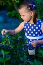 Little girl picking fresh berries on blueberry field - on organic farm. Cute gardener girl playing outdoors in fruit orchard. Tod Royalty Free Stock Photo