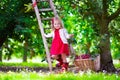 Little girl picking fresh cherry berry in the garden Royalty Free Stock Photo